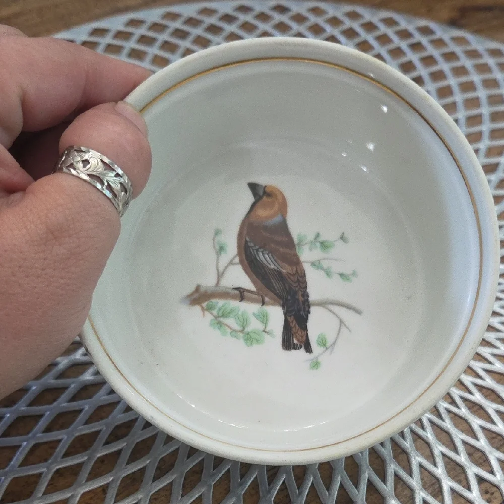 Elegant Bird Design Ceramic Bowl
